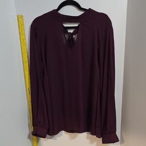 Torrid Deep Purple Long Sleeve Blouse